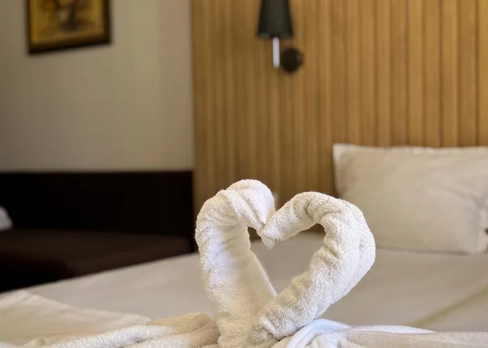 Adeti Готель 2*